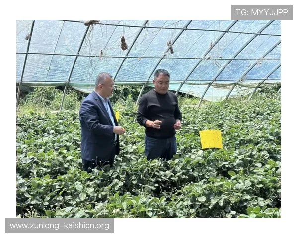 凯时滚球安全保障措施与用户资金安全保障方案